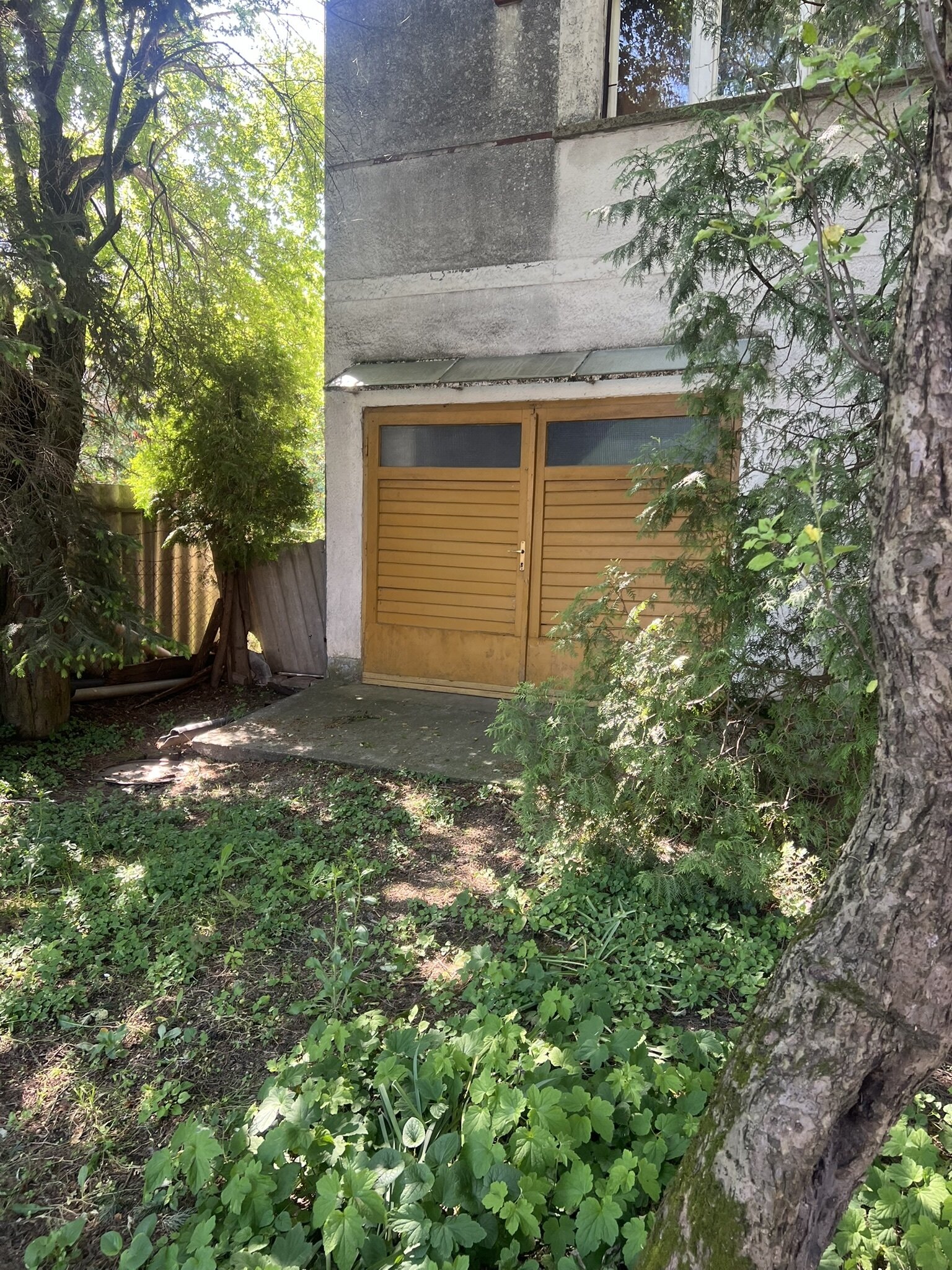 &nbsp;