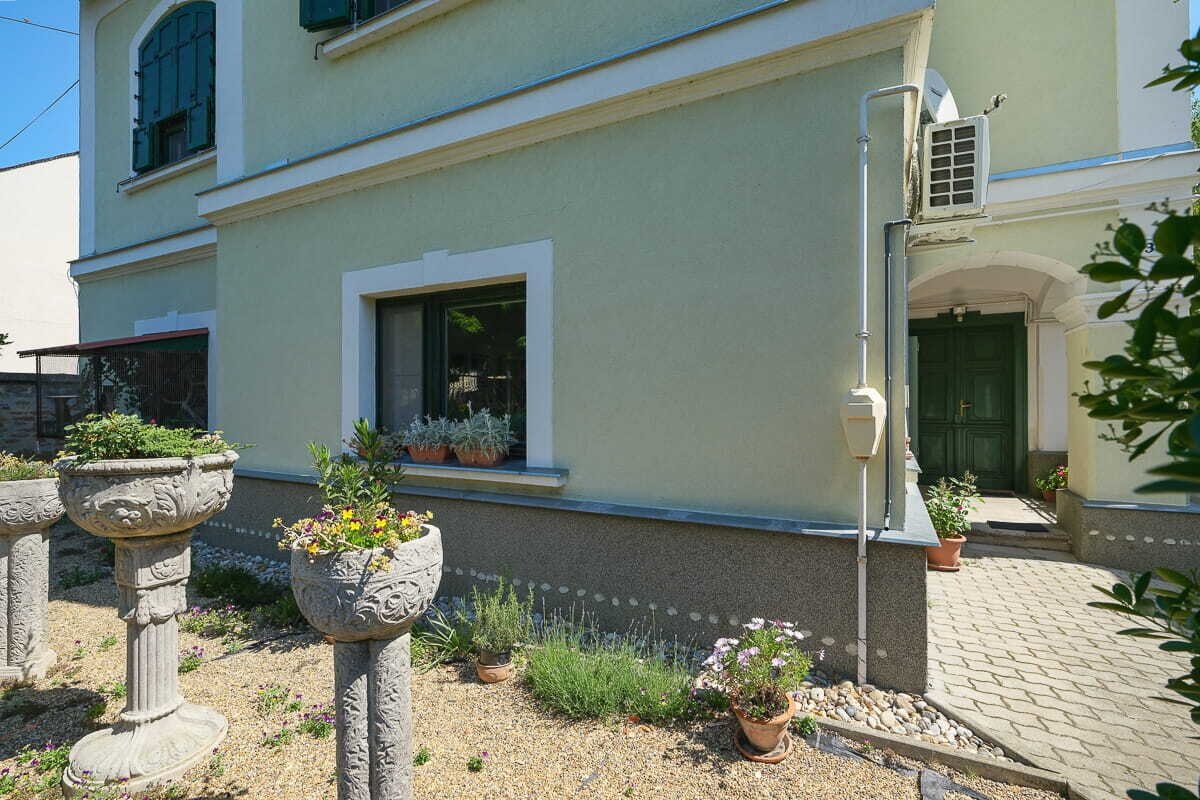DSCF6556