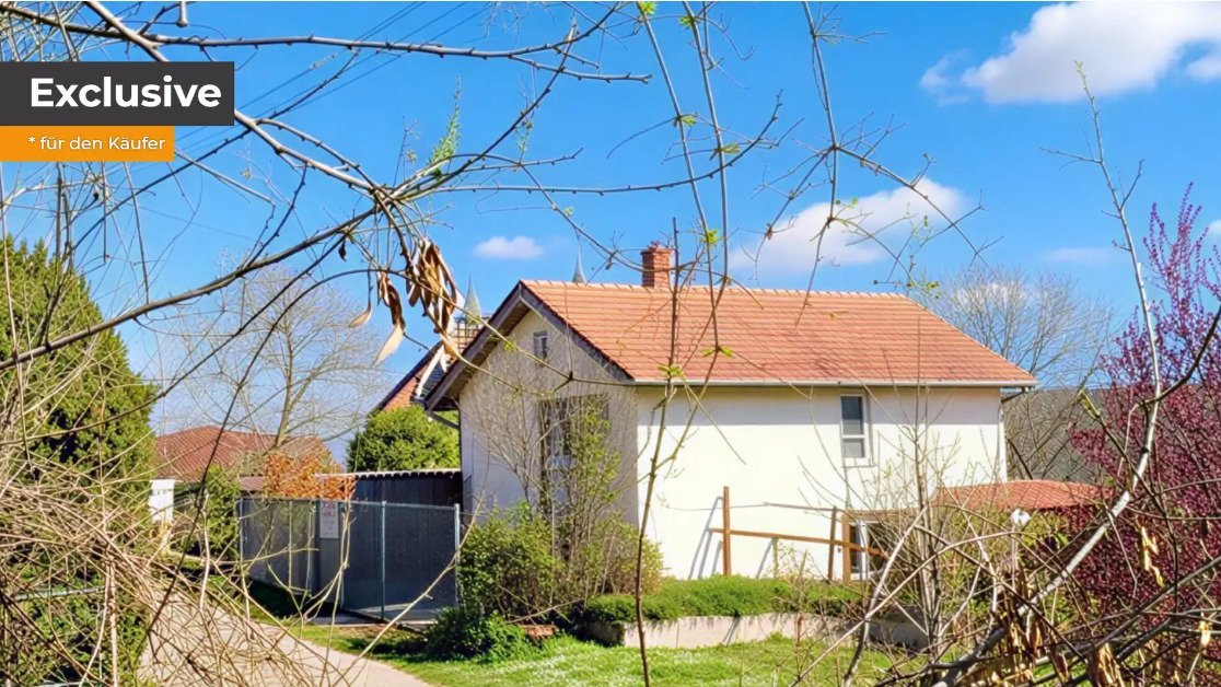 Zalaegerszeg: (ABA) Nagy szőlőskert panorámás kilátással Zalaegerszeg felett Zalaegerszeg: (ABA) Nagy szőlőskert panorámás kilátással Zalaegerszeg felett