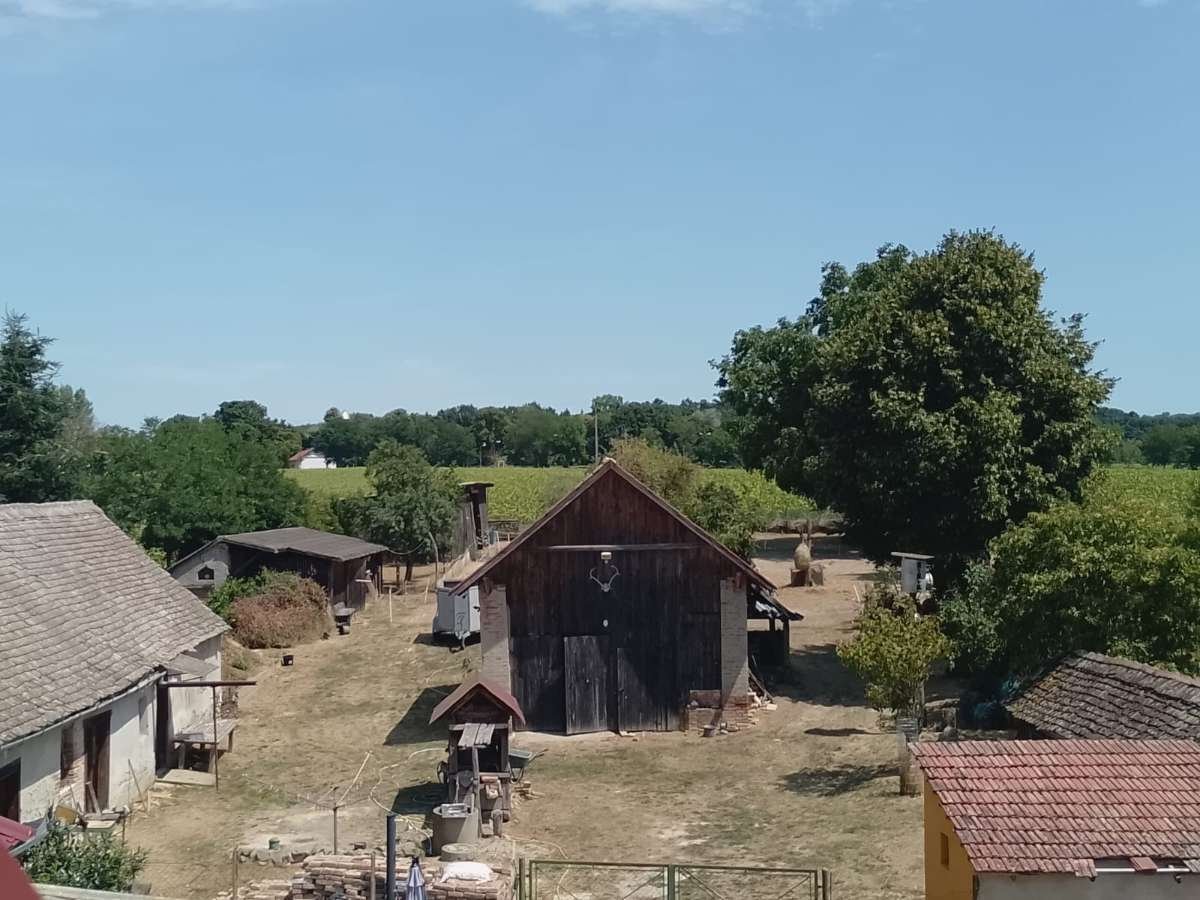 Patalom: Teret az állatoknak, az embereknek és az új ösvényeknek Patalom: Teret az állatoknak, az embereknek és az új ösvényeknek