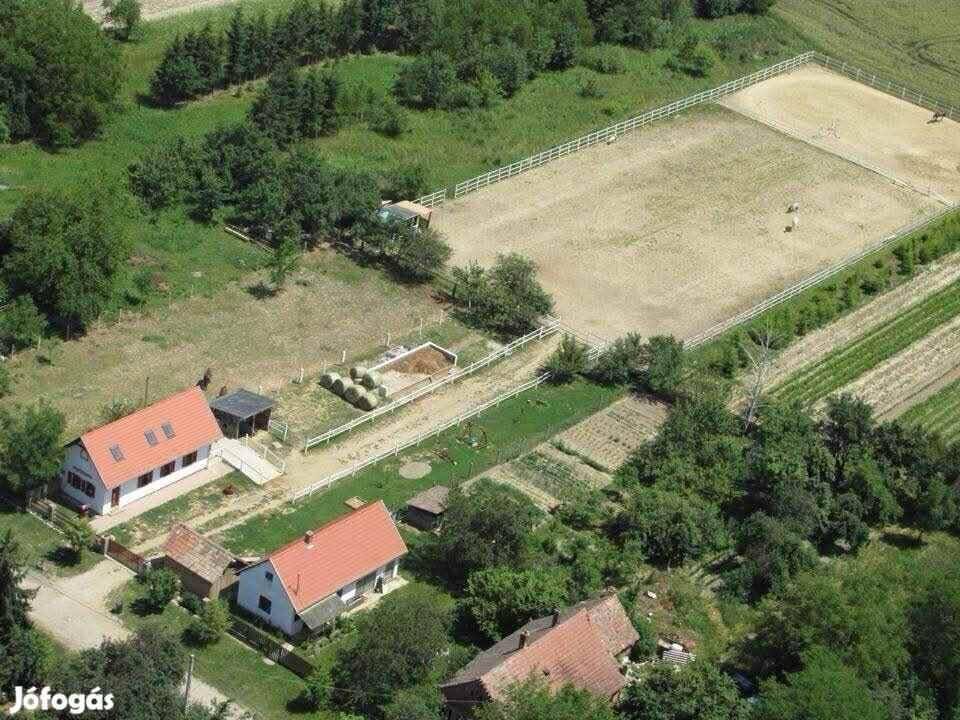 Nagyatád: Nagyon jól karbantartott családi ház és lótartási lehetőség Nagyatád közelében Nagyatád: Nagyon jól karbantartott családi ház és lótartási lehetőség Nagyatád közelében