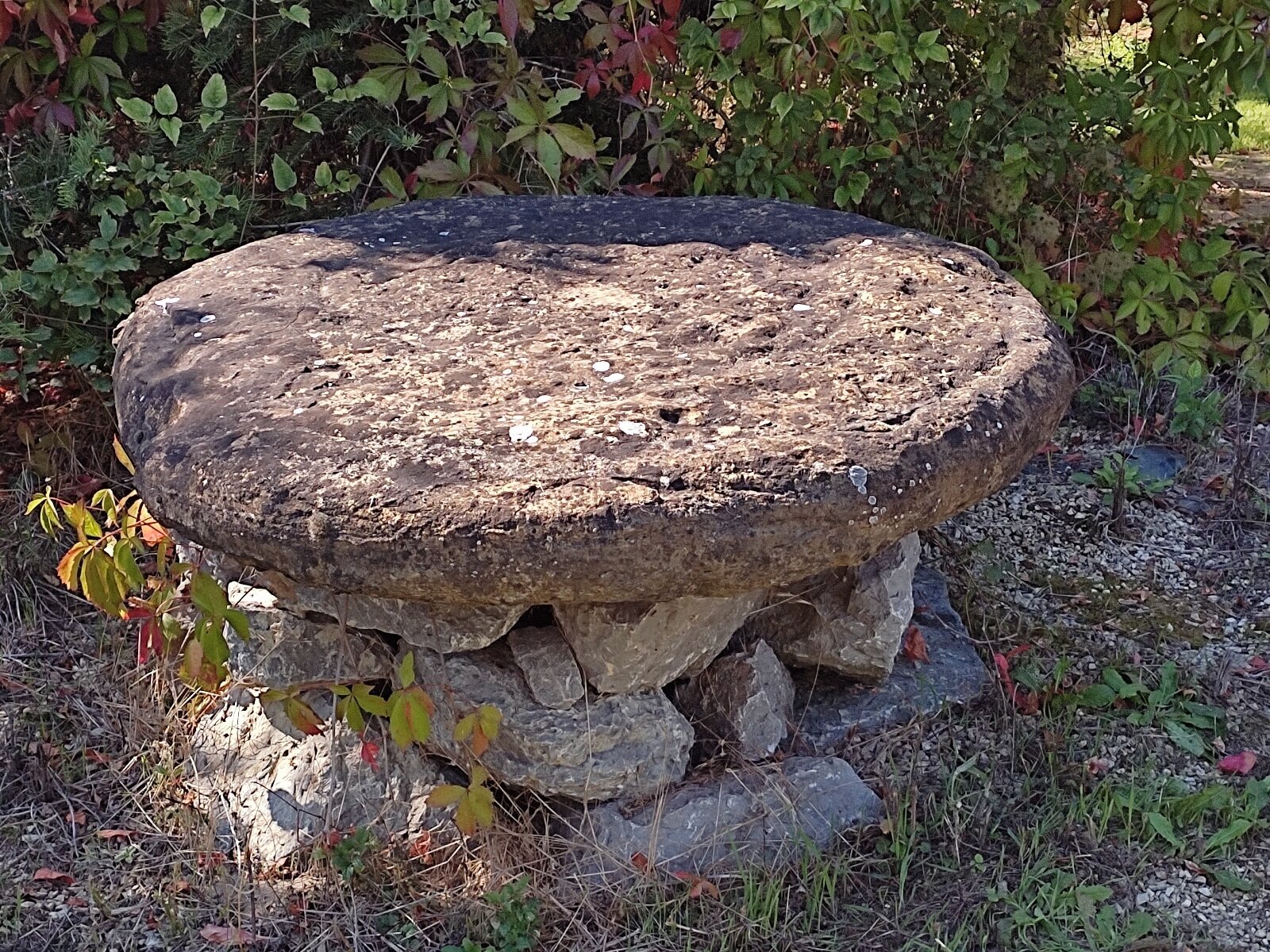 &nbsp;