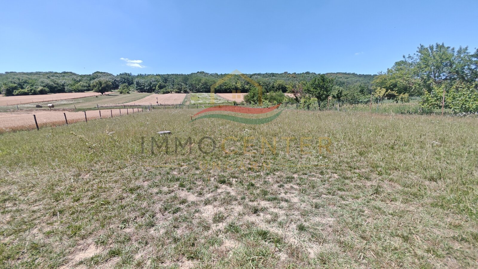 &nbsp;