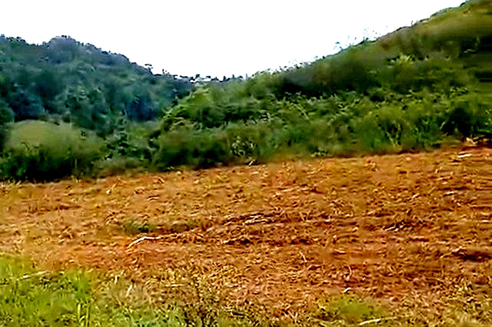 &nbsp;