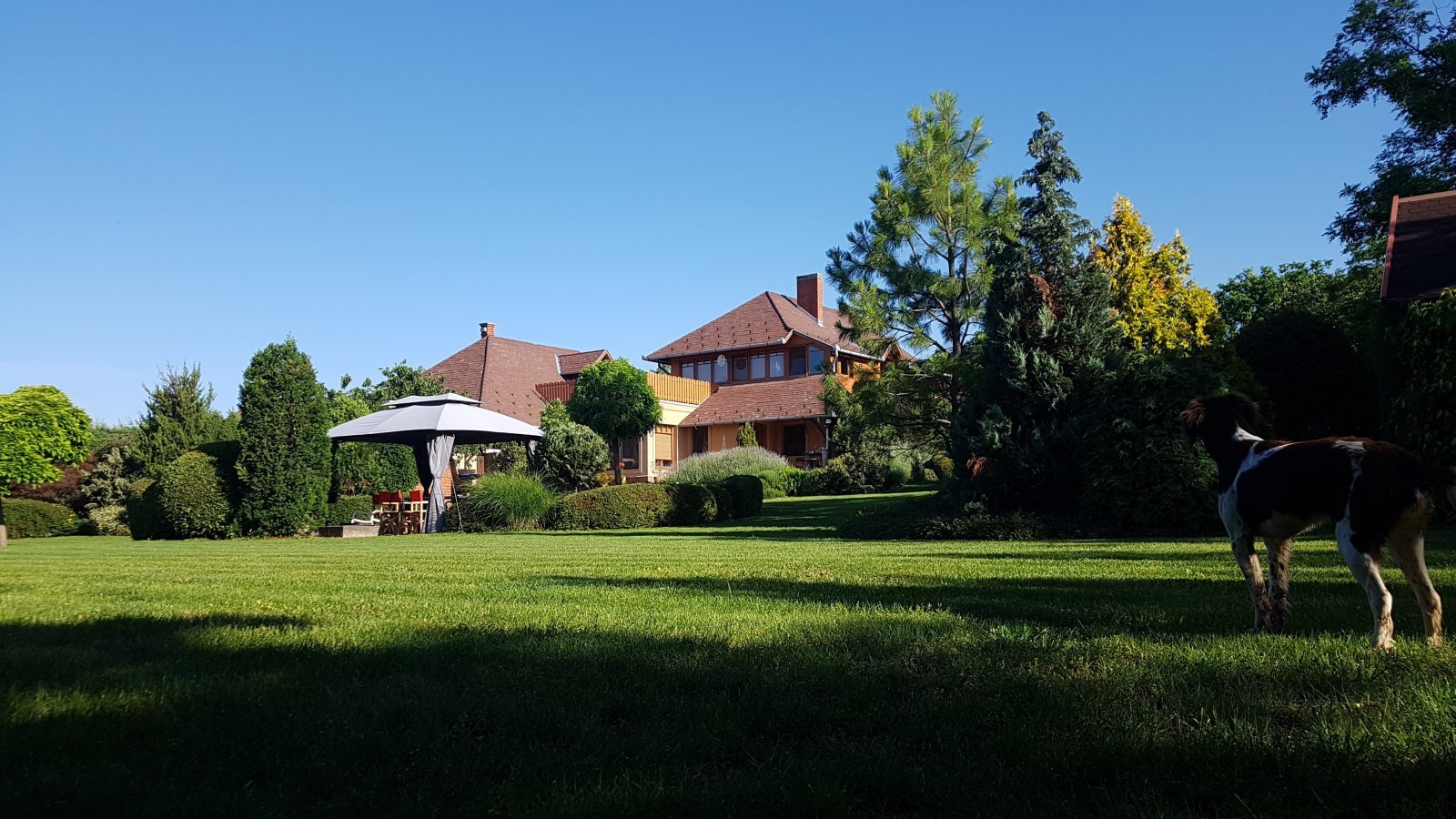 Cserszegtomaj: Luxusház a balatoni part közelében Cserszegtomaj: Luxusház a balatoni part közelében
