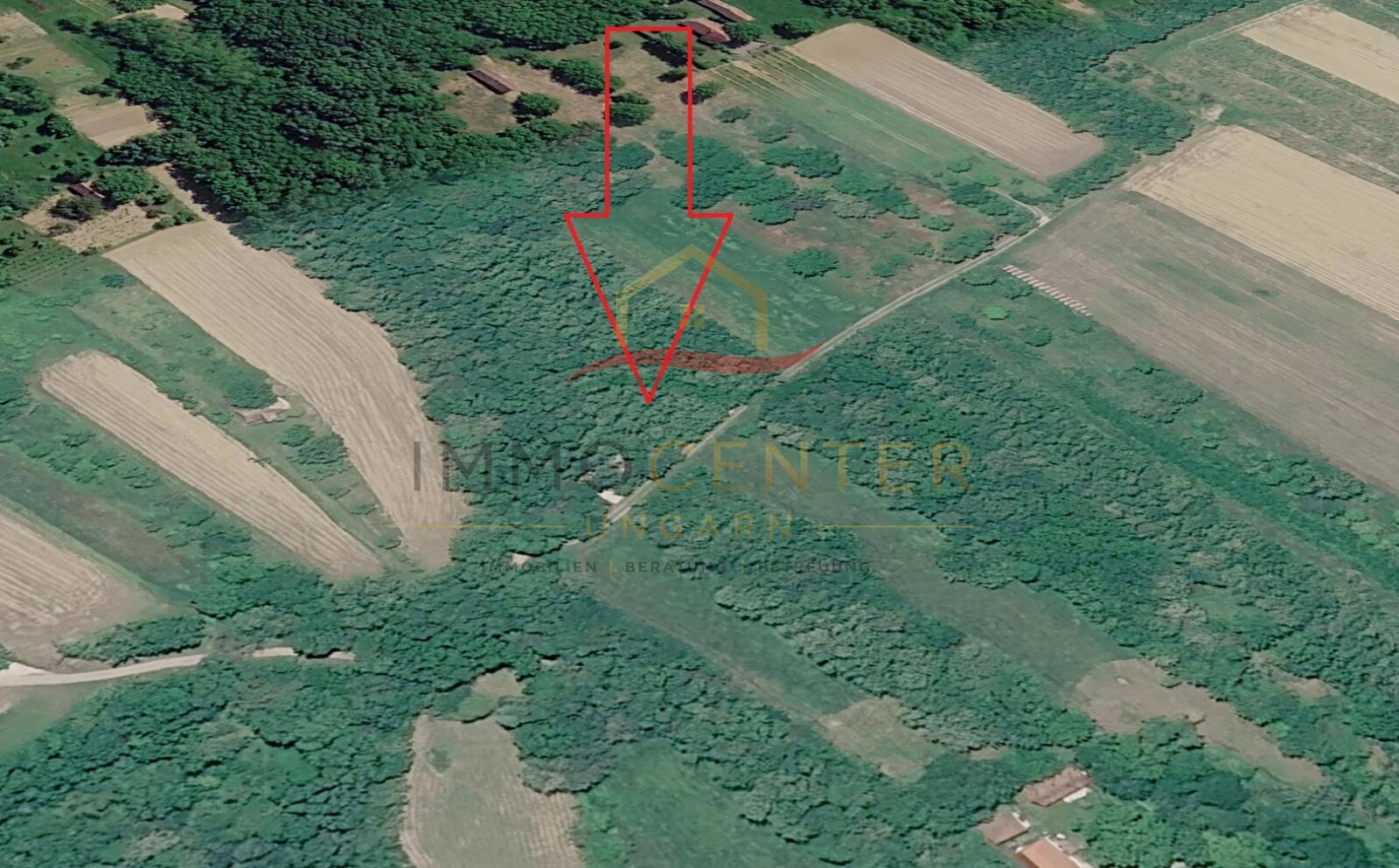 &nbsp;