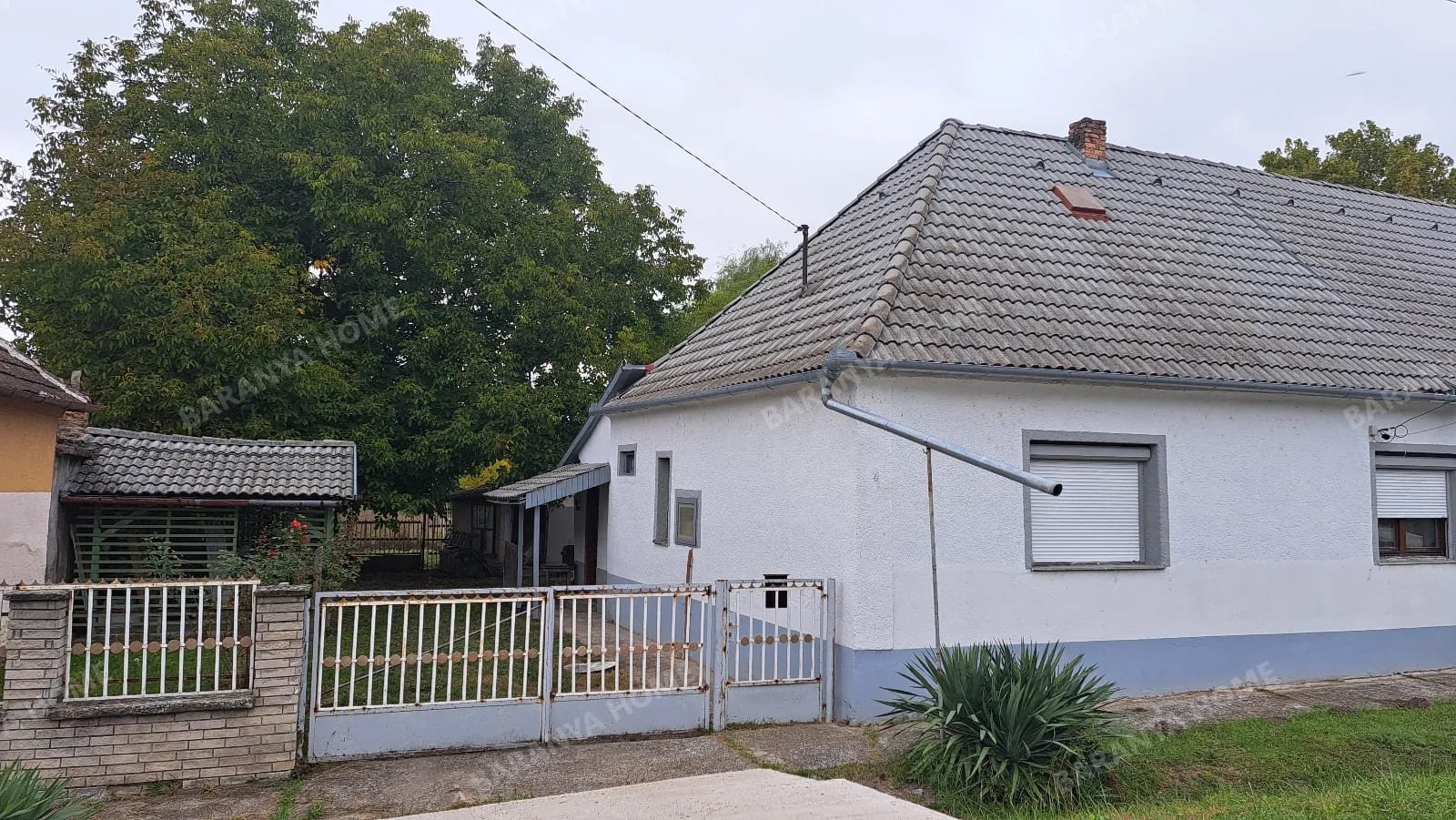 Bild 9 Bild 9