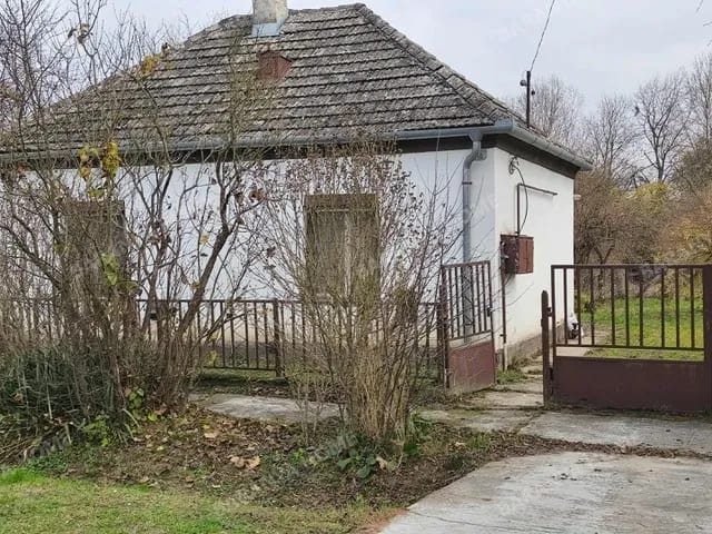 Bild 5 Bild 5