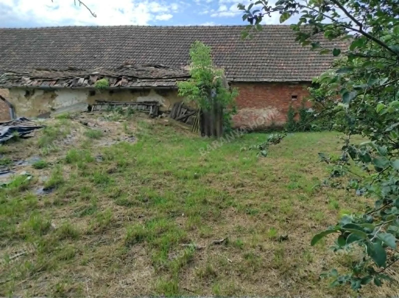 Bild 24