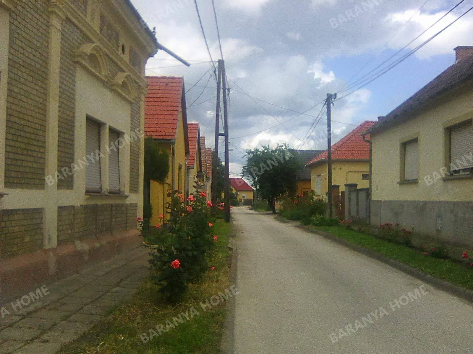 Bild 2 Bild 2