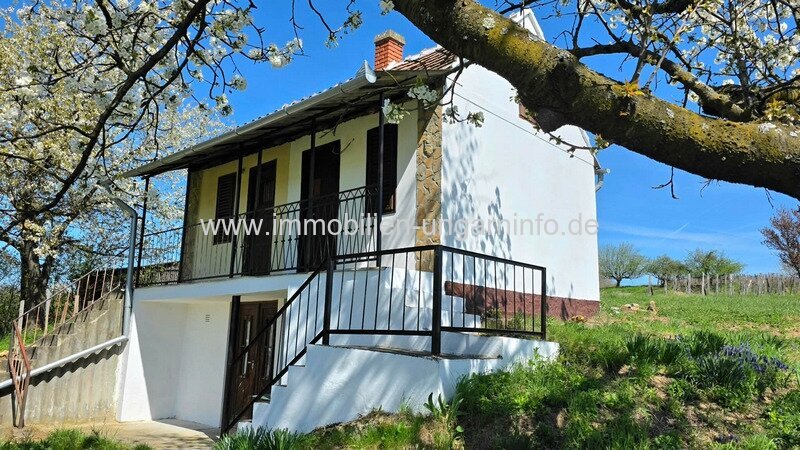 Somogy Vármegye: Keller/Ferienhaus in Marcali, 12 km vom Plattensee entfernt Somogy Vármegye: Keller/Ferienhaus in Marcali, 12 km vom Plattensee entfernt