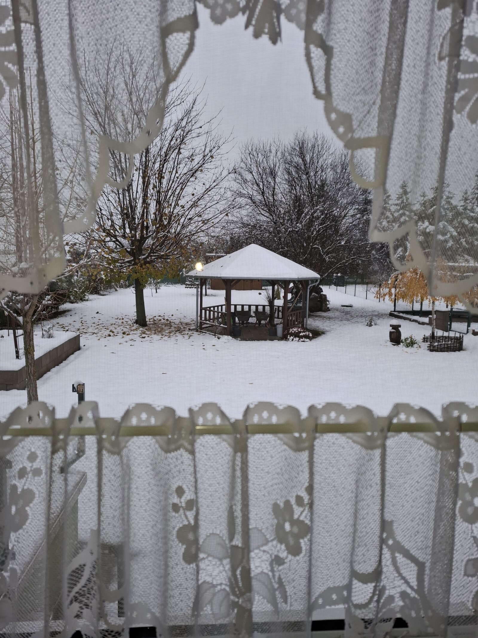 Blick in den Garten vom Wohnzimmer Blick in den Garten vom Wohnzimmer