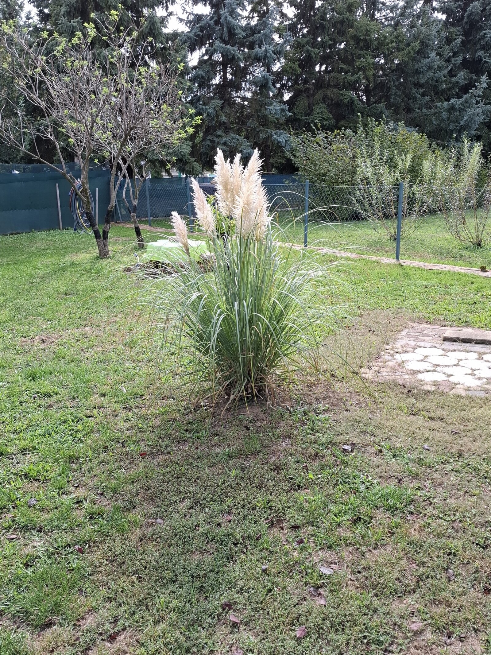 Garten Garten