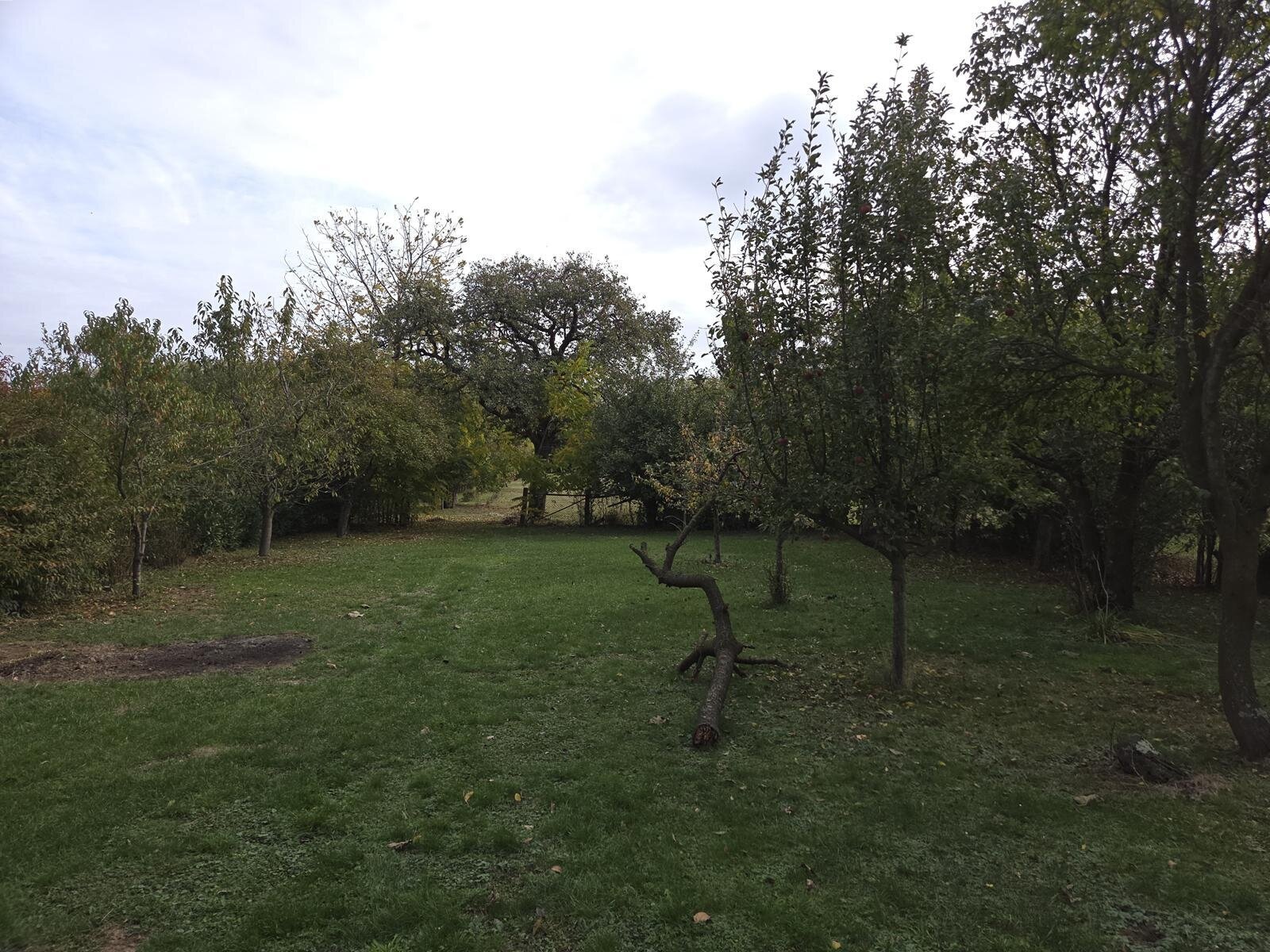 &nbsp;