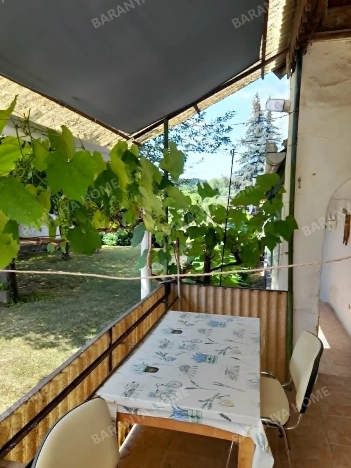 Bild 10