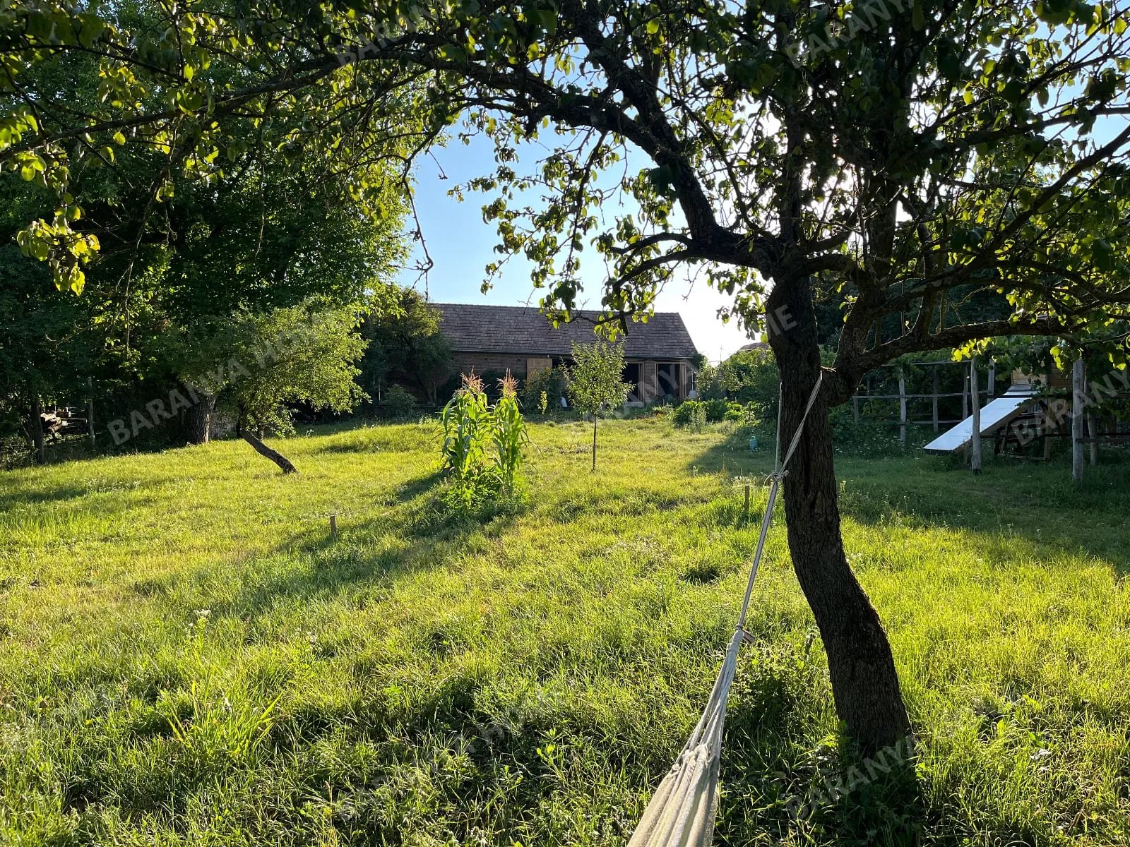 Boldogasszonyfa: Renoviertes Einfamilienhaus mit Nebengebäude, auf einem Grundstück von mehr als 7.000 m² – Boldogasszonyfán! Boldogasszonyfa: Renoviertes Einfamilienhaus mit Nebengebäude, auf einem Grundstück von mehr als 7.000 m² – Boldogasszonyfán!