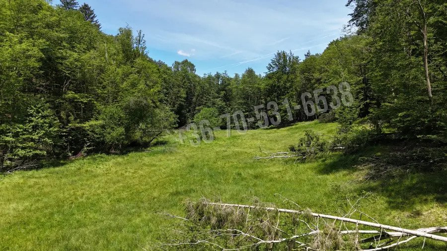 Oberes Szölnök: Waldgrundstück 8,2 ha in Felsőszölnök, Őrség Oberes Szölnök: Waldgrundstück 8,2 ha in Felsőszölnök, Őrség