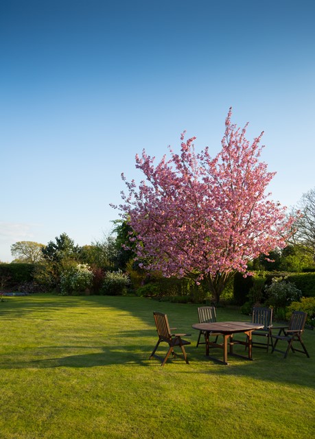 Garten mit Hecke als Grundstücksgrenze